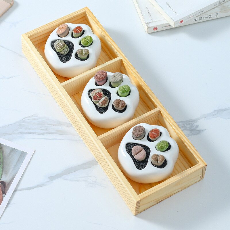 Creative Cat Paw Flowerpot