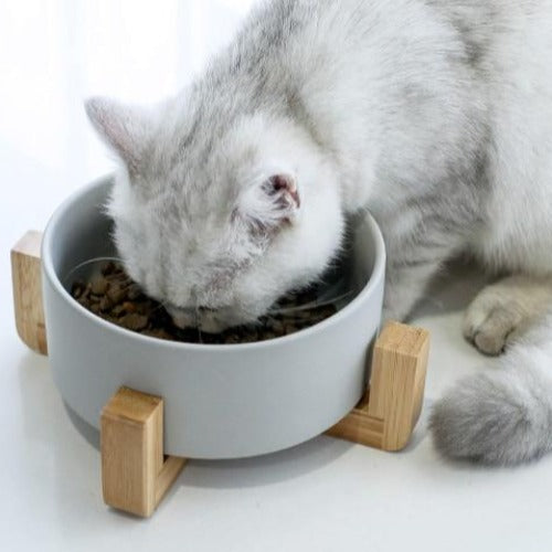 The Matte Midcentury Pet Food Bowl Set with Stand