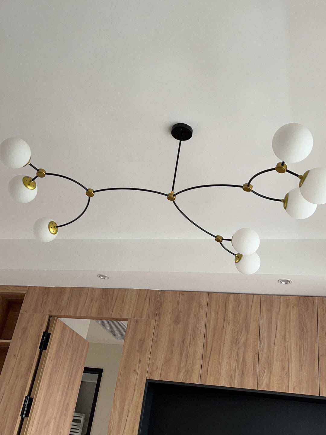 Ivy Globe Chandelier