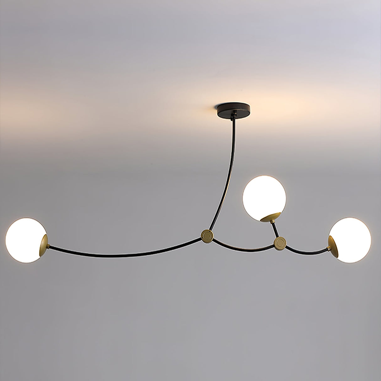 Ivy Globe Chandelier