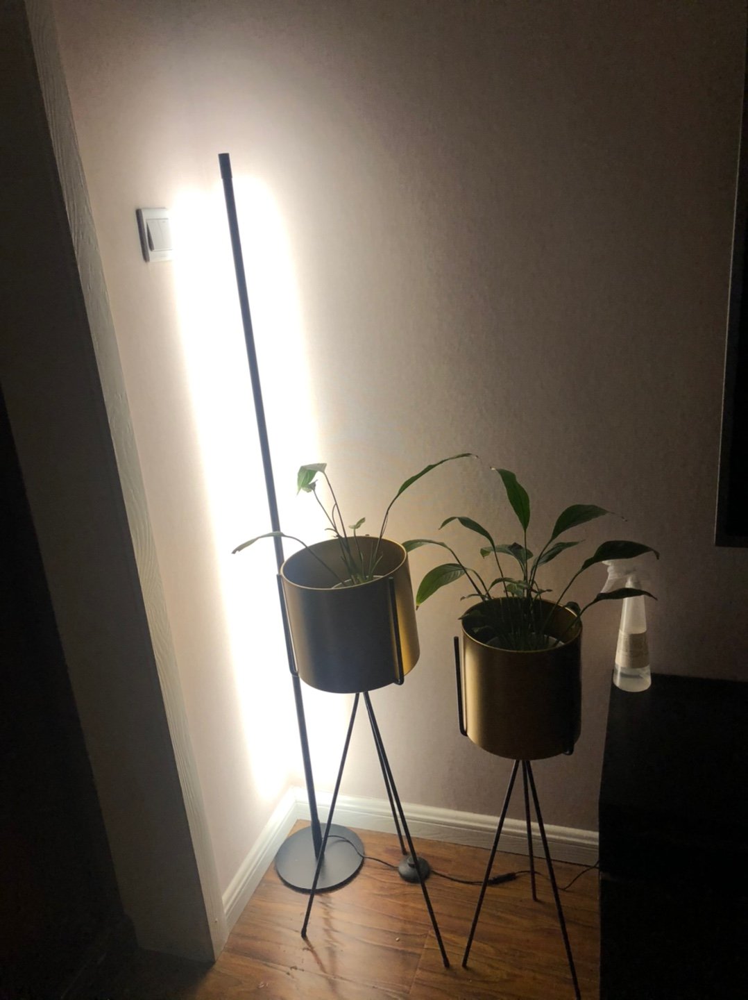 Linear LED Floor Lamp