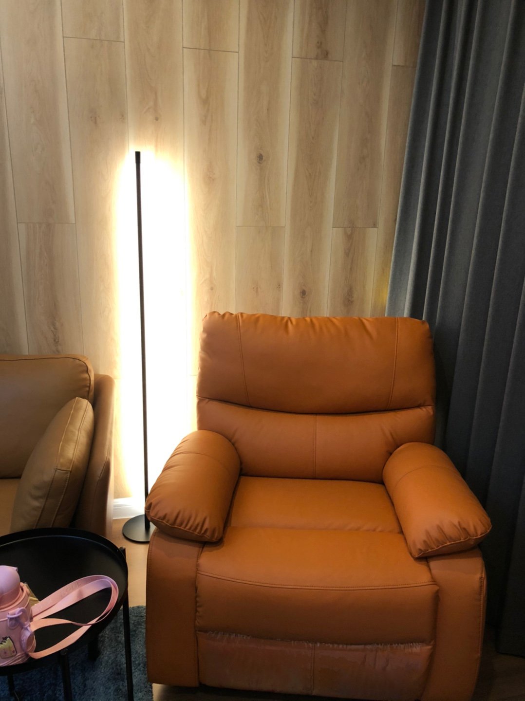 Linear LED Floor Lamp