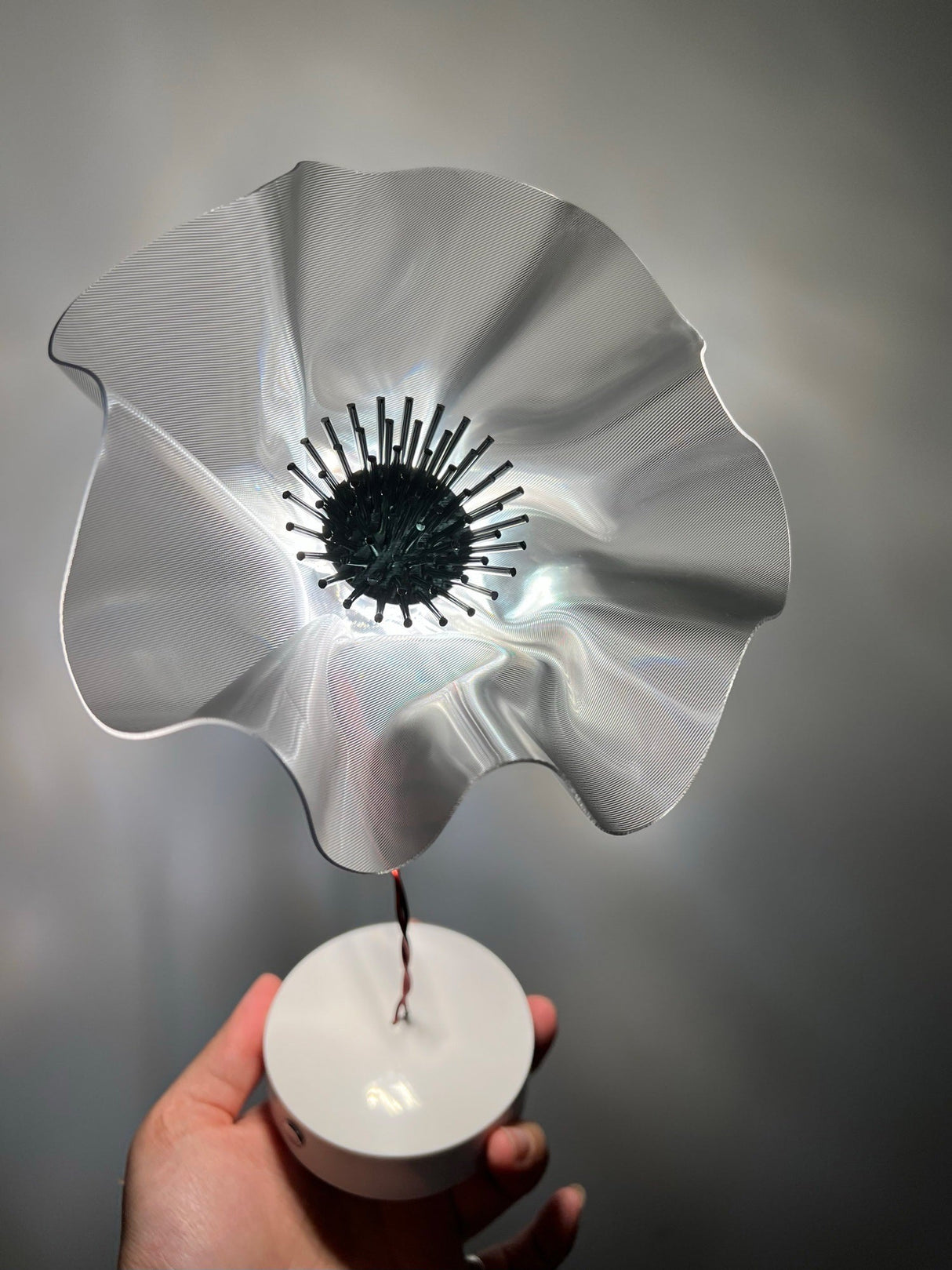 Lucellino Table Lamp