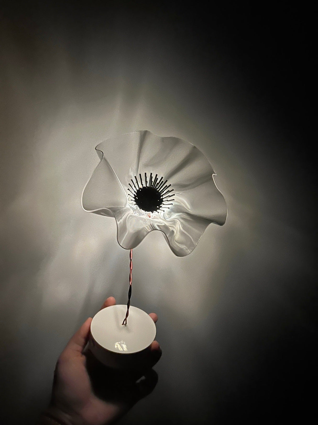 Lucellino Table Lamp