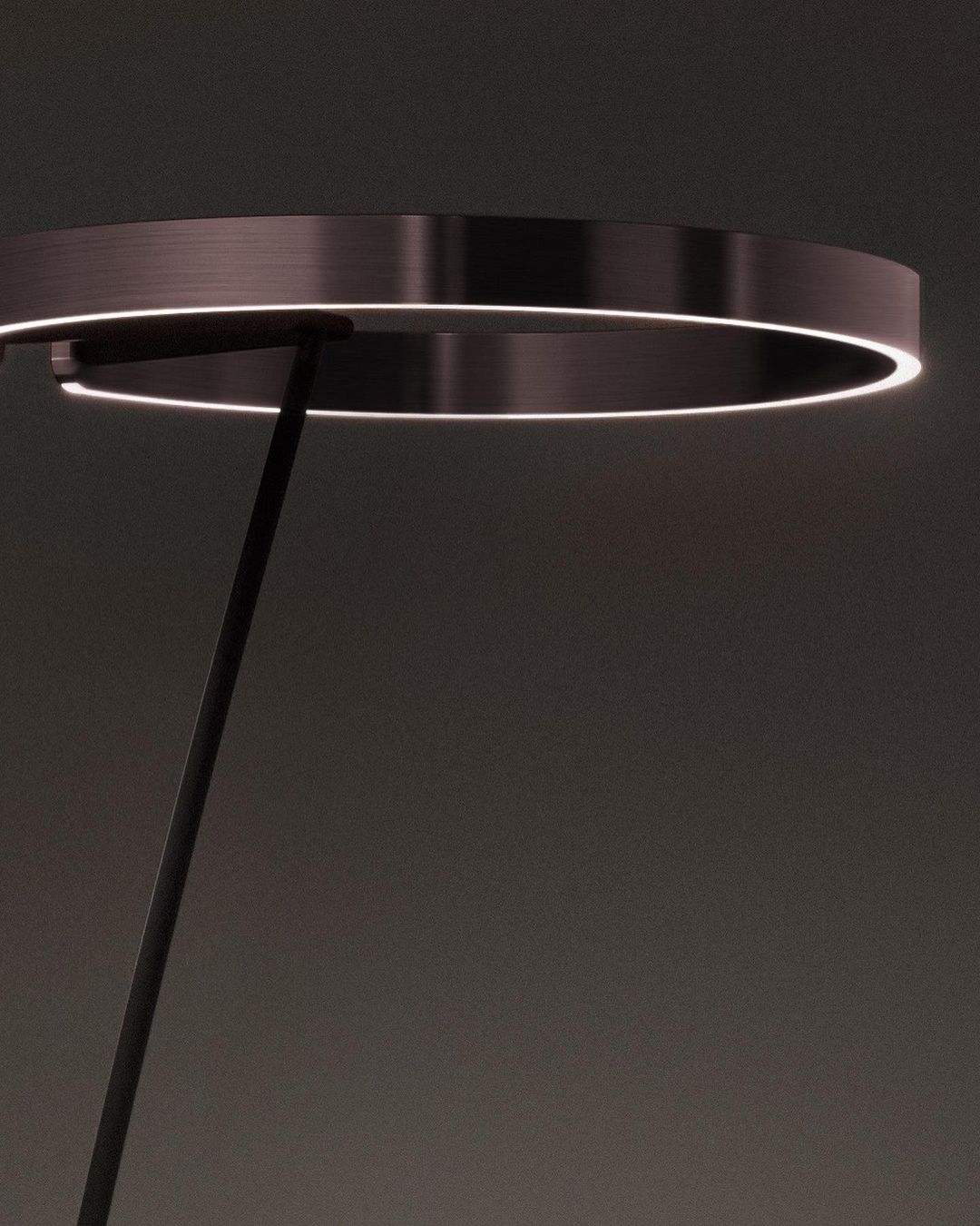 Ring Floor Lamp