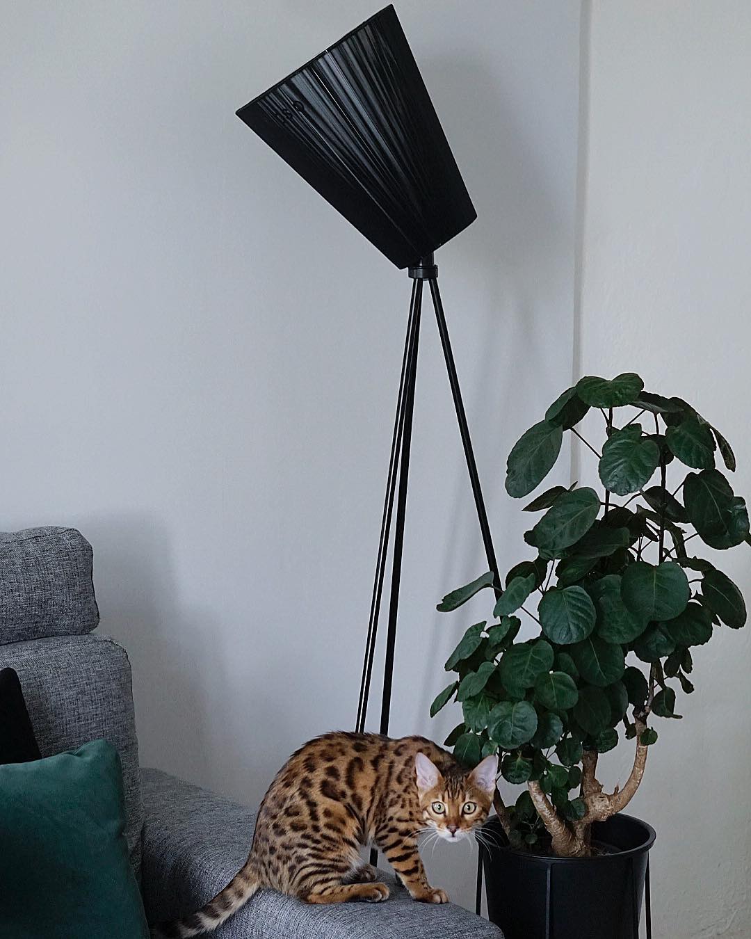 Modern Oslo Wood Floor Lamp