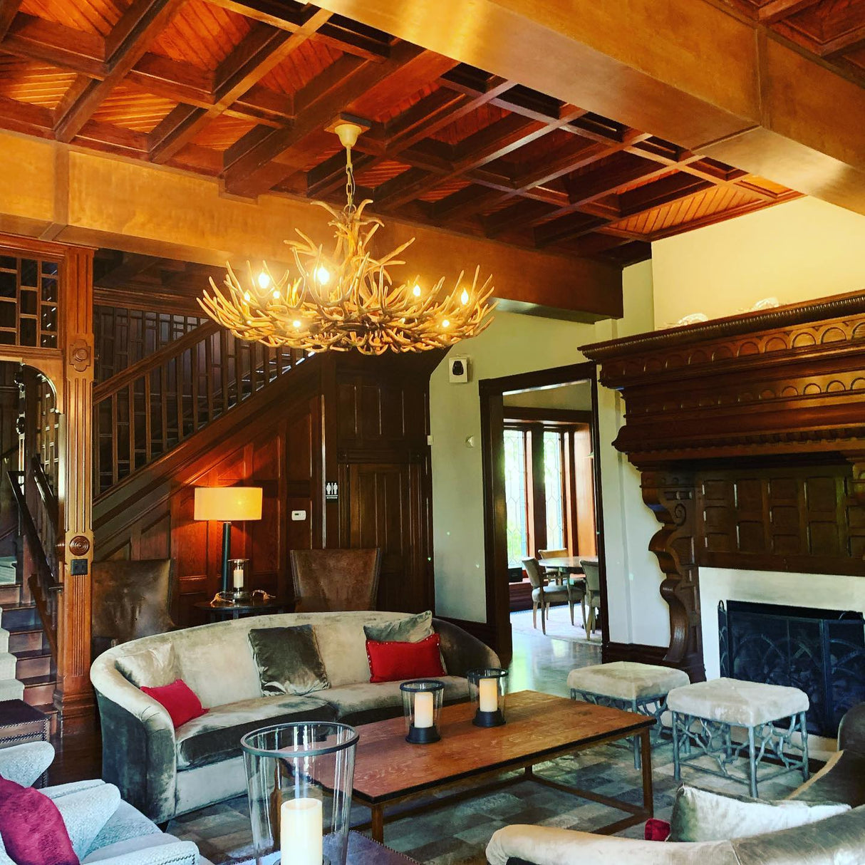 Narural Antlers Chandelier