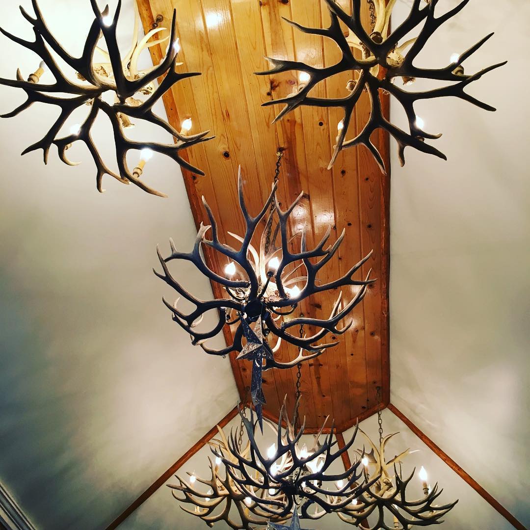 Narural Antlers Chandelier