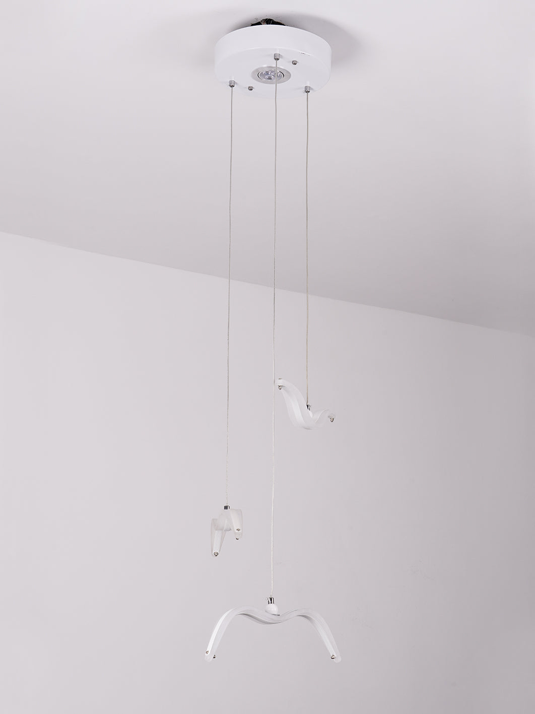 Night Birds Series Lamp