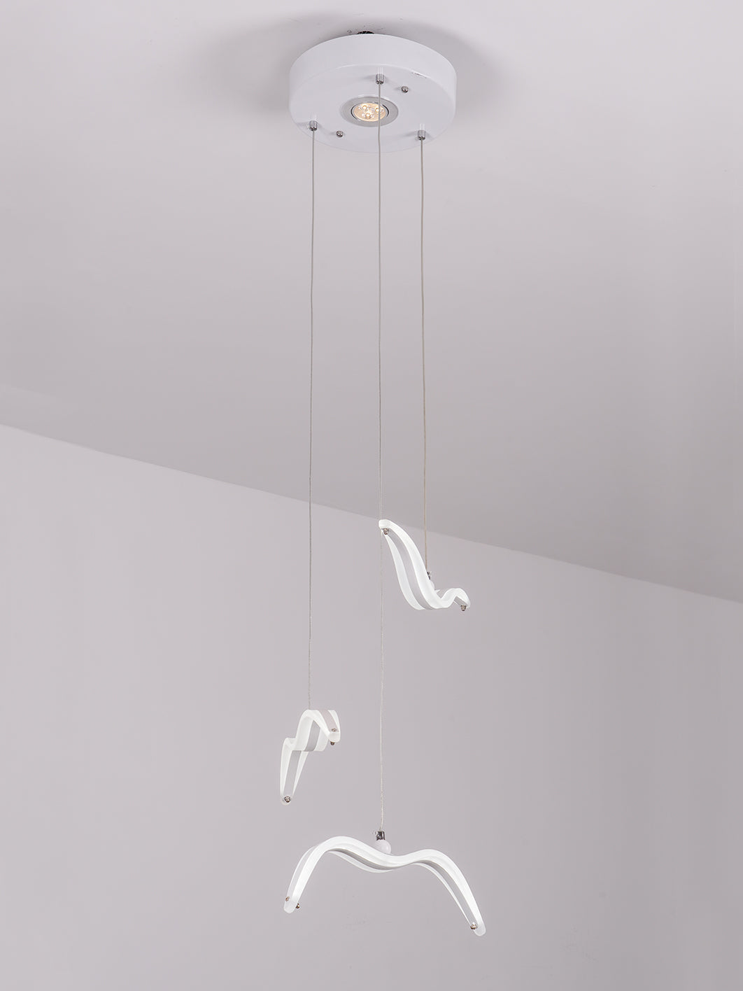 Night Birds Series Lamp