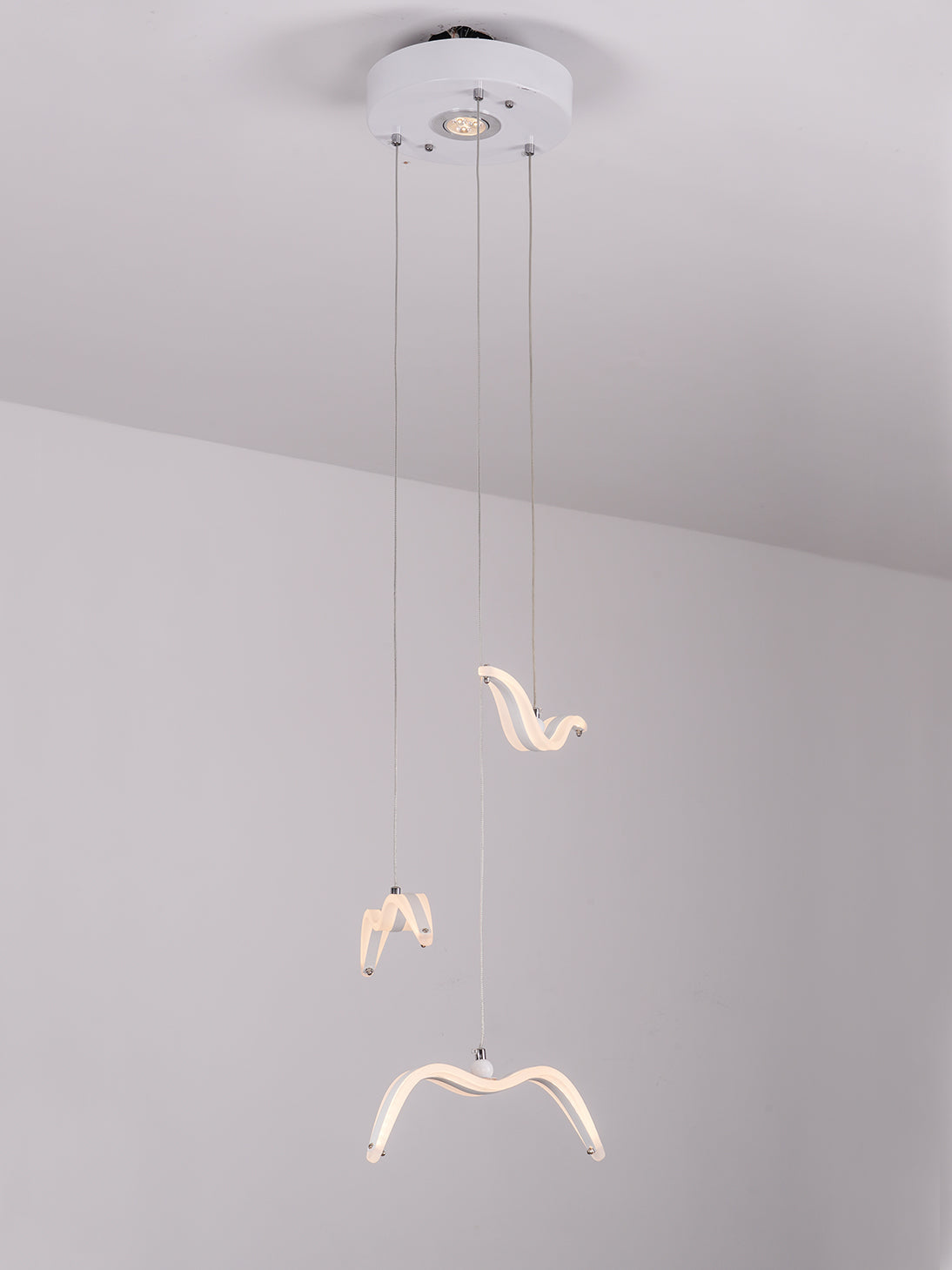 Night Birds Series Lamp