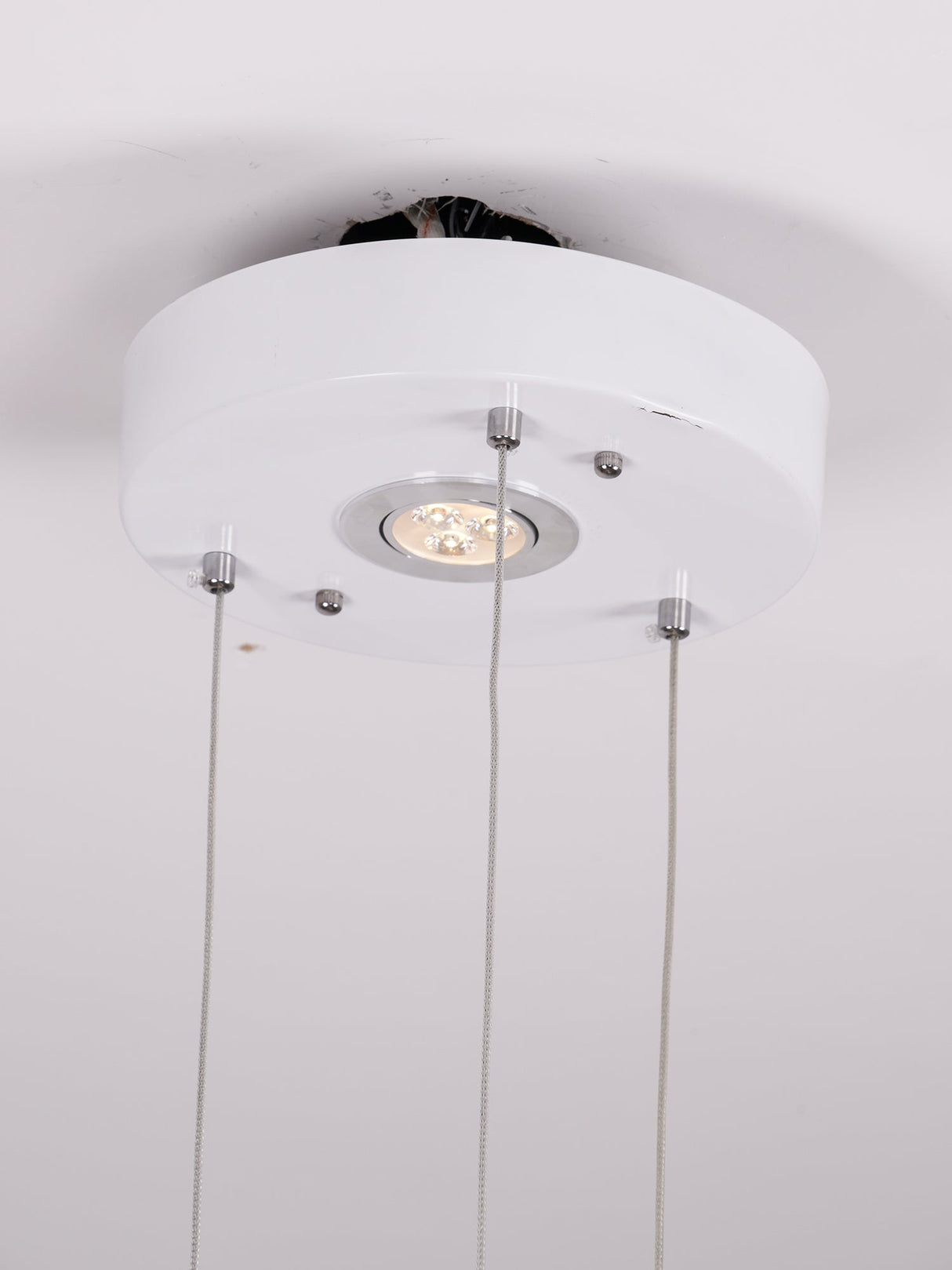 Night Birds Series Lamp