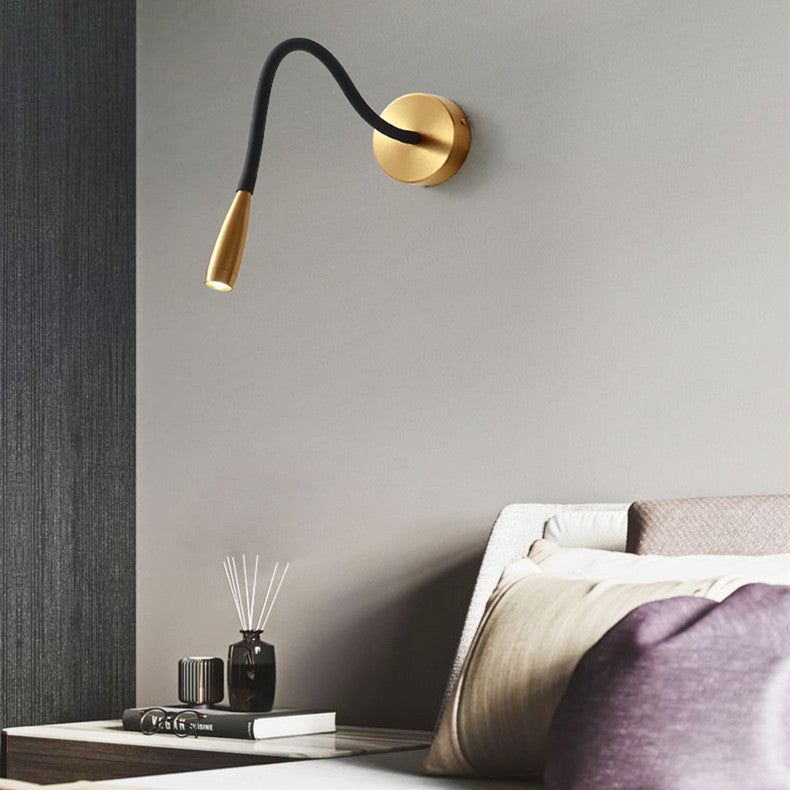 Gooseneck Hose Wall Light