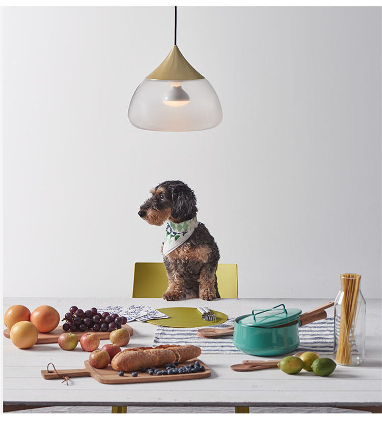 Frosted Glass Pendant Light