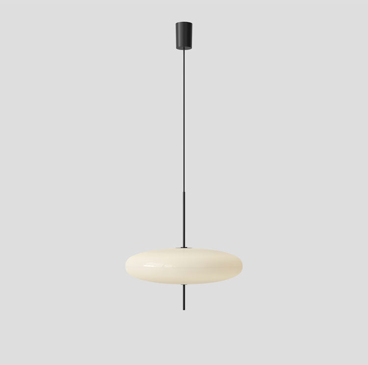 Acrylic Pendant Light, Model 2065