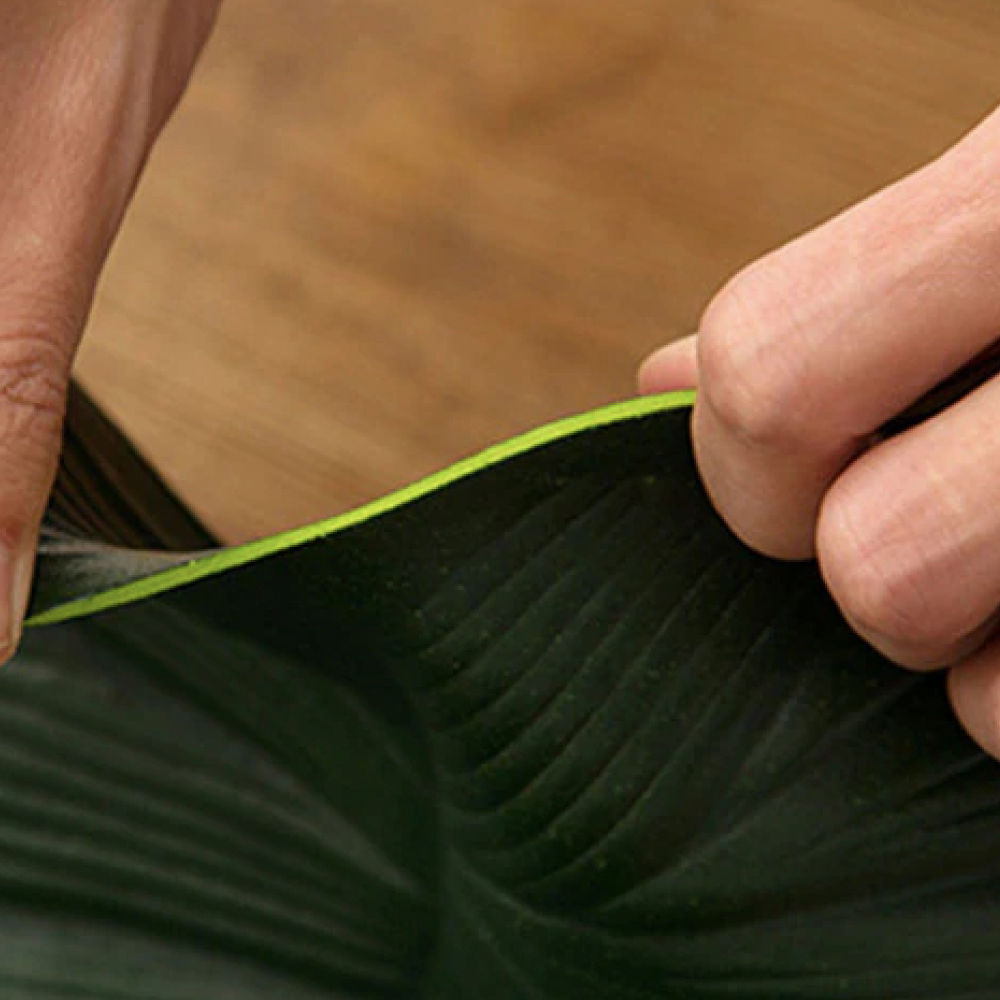 Kalani Placemat and Coaster Set