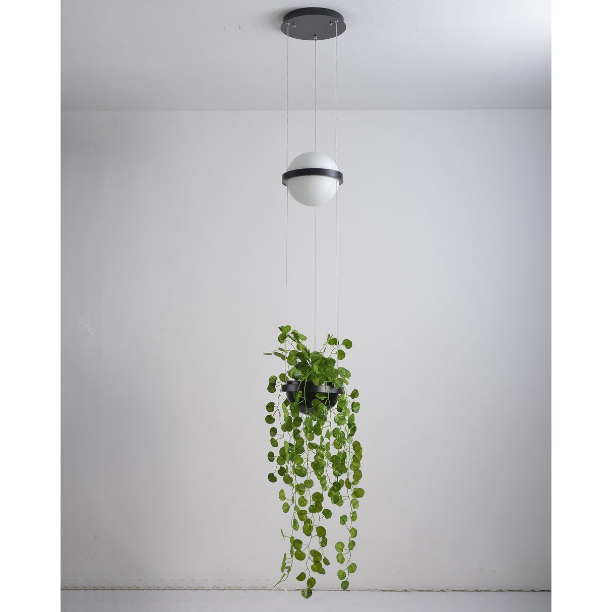 Palma Suspension Lamp