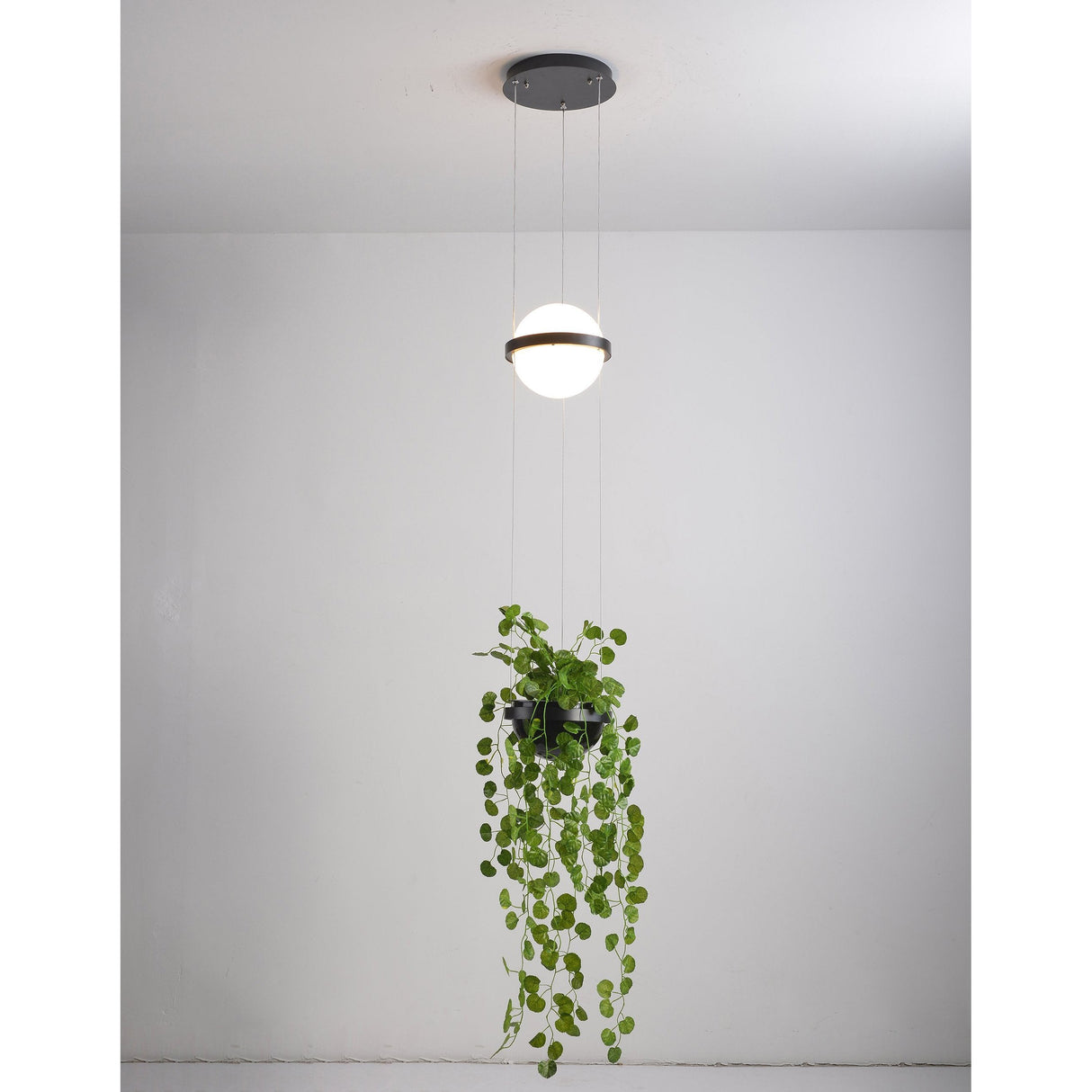 Palma Suspension Lamp