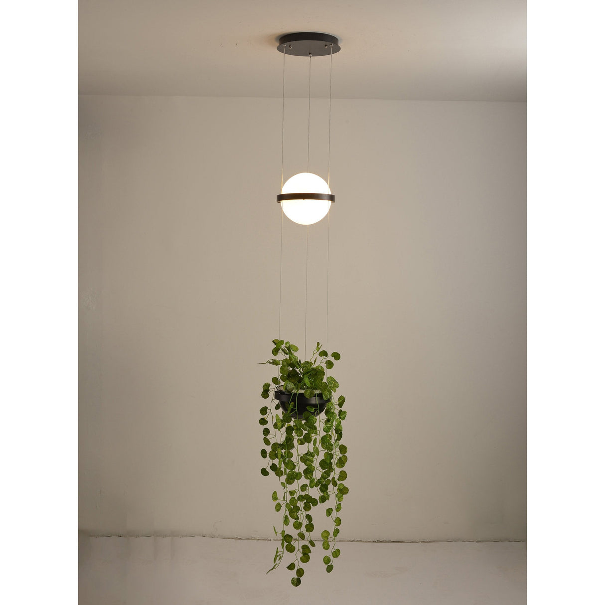 Palma Suspension Lamp