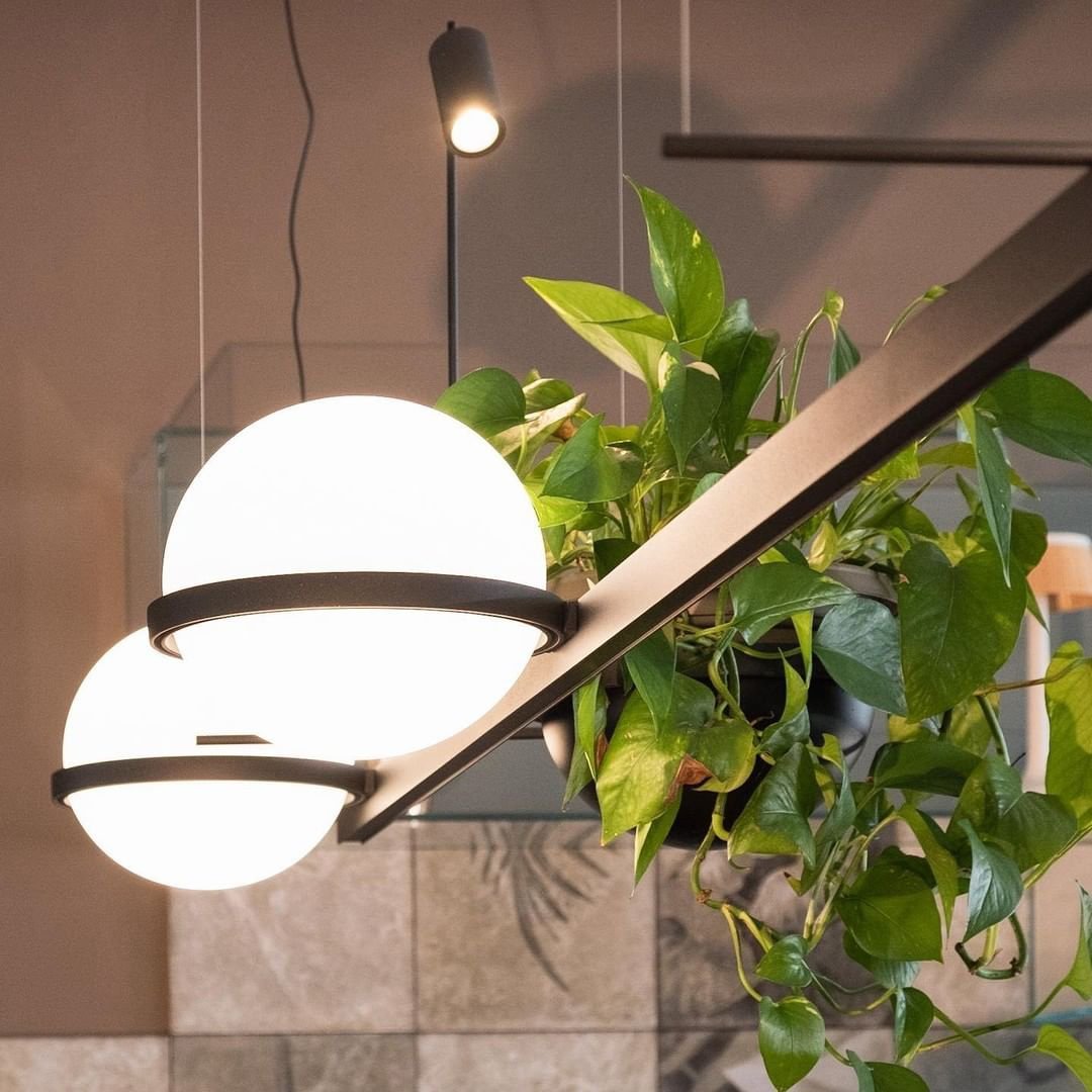 Palma Suspension Lamp