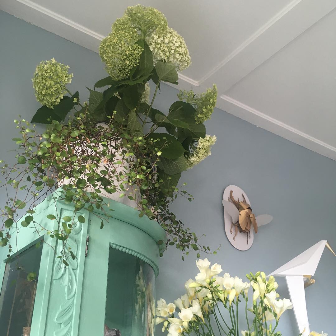 Perching Bird Wall Lamp