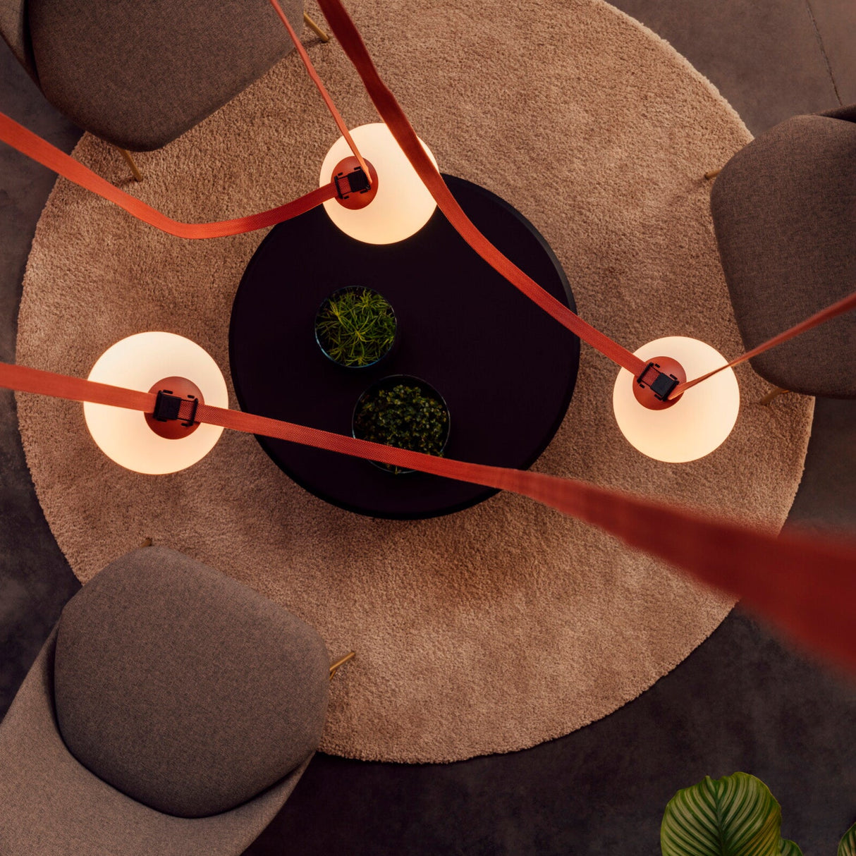 Plusminus Pendant Light