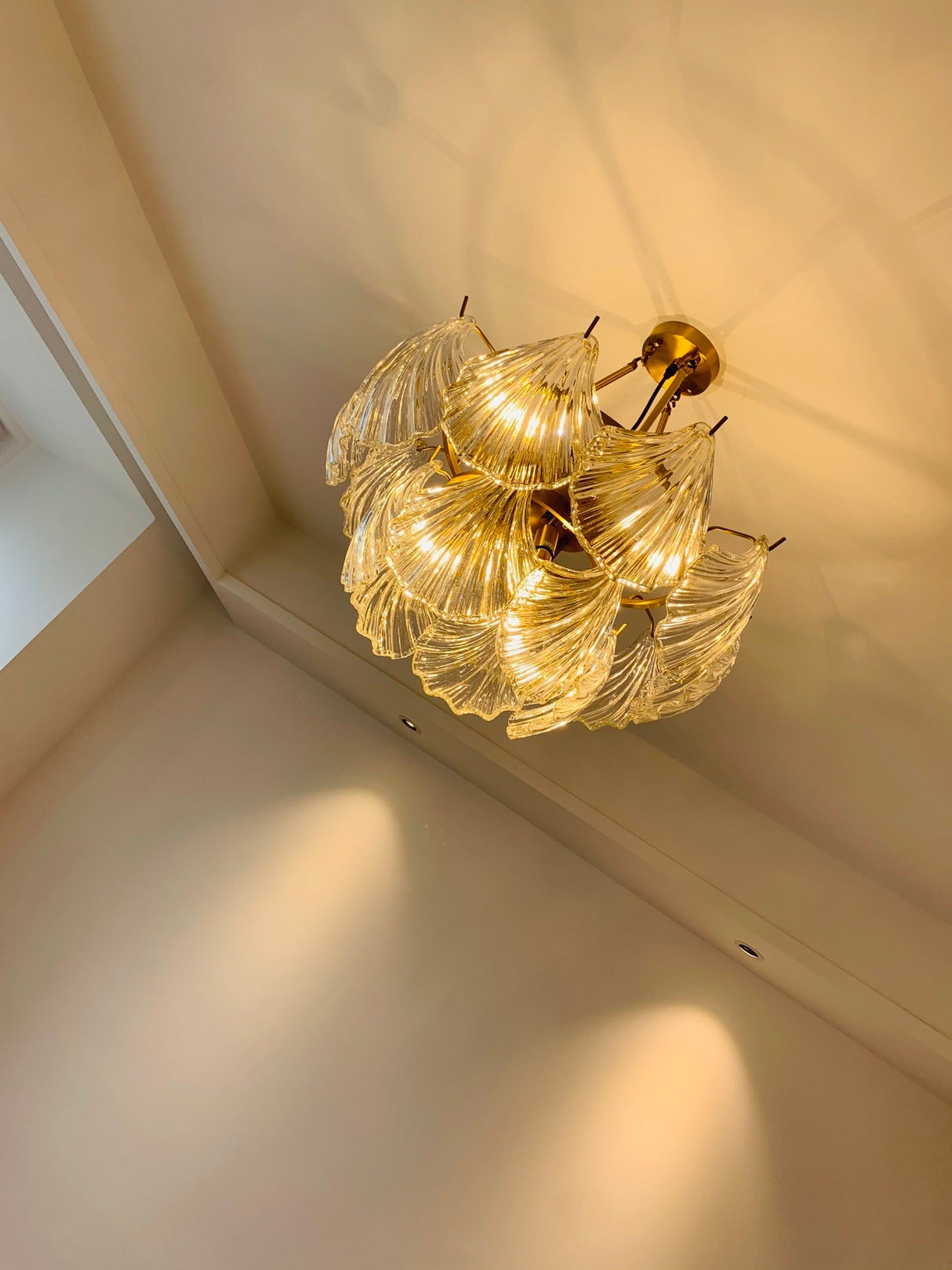 Ribbed Shell Ceiling light