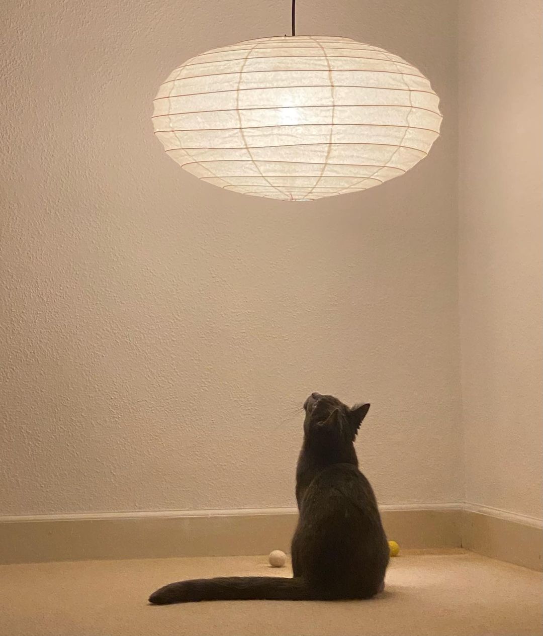 Rice Paper 50EN Pendant Light