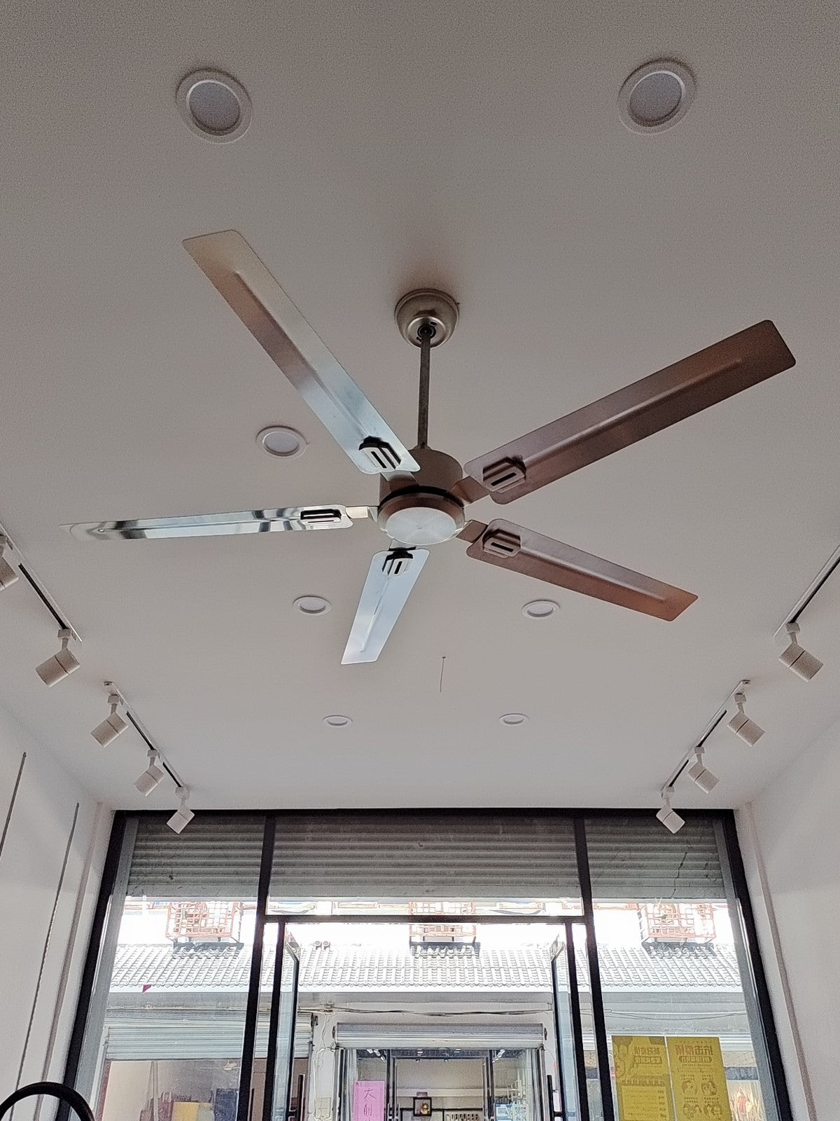 Rozzen Ceiling Fan