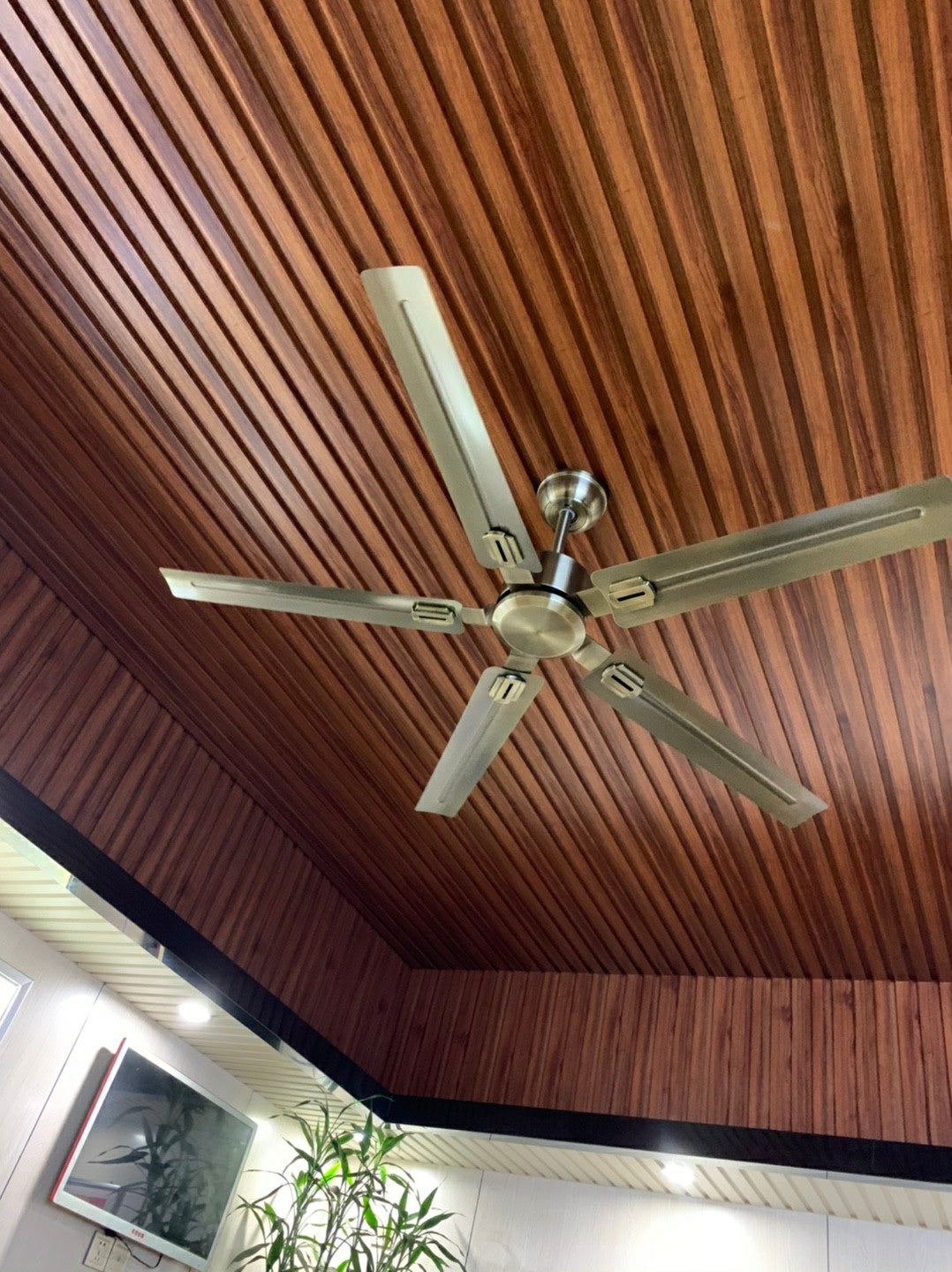 Rozzen Ceiling Fan