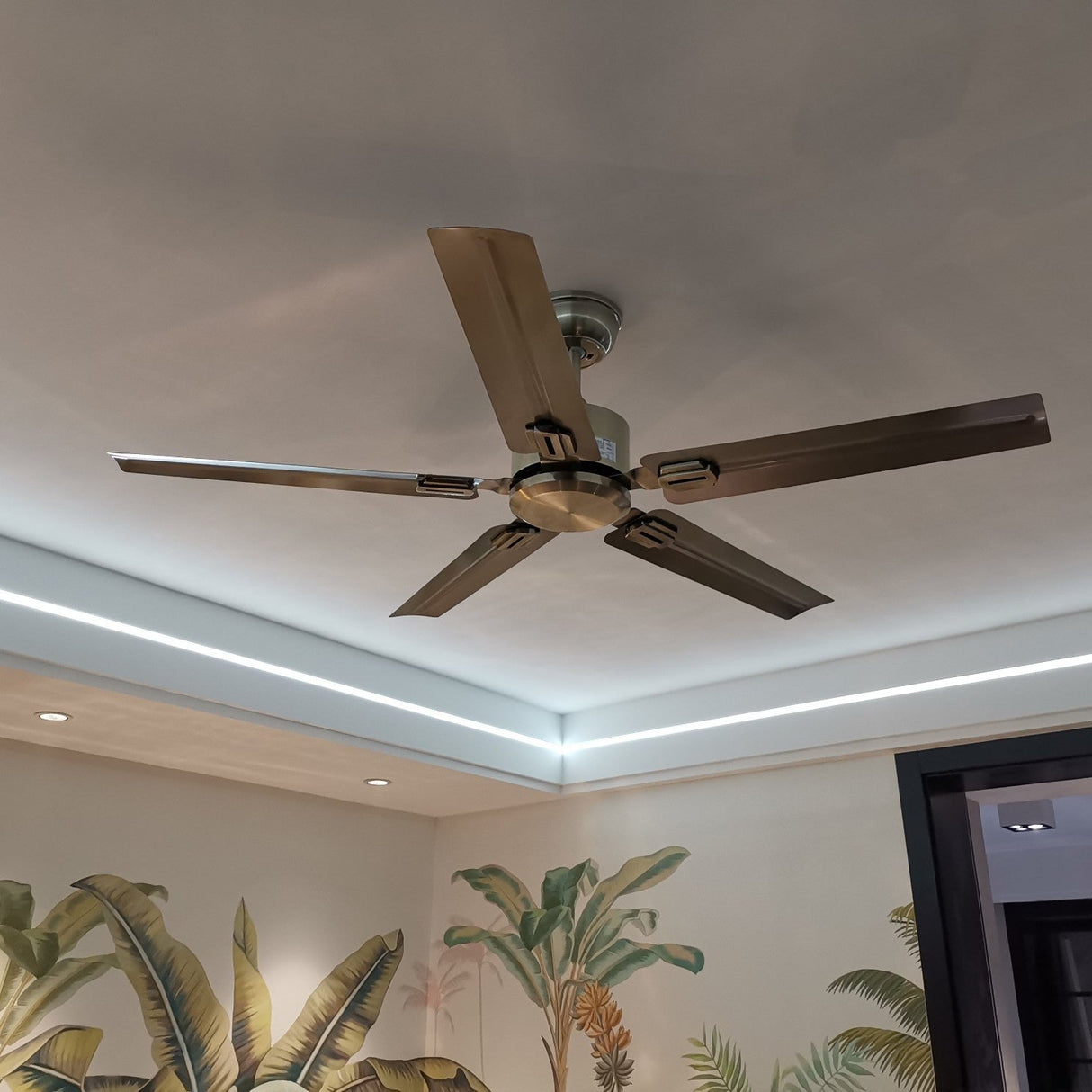 Rozzen Ceiling Fan