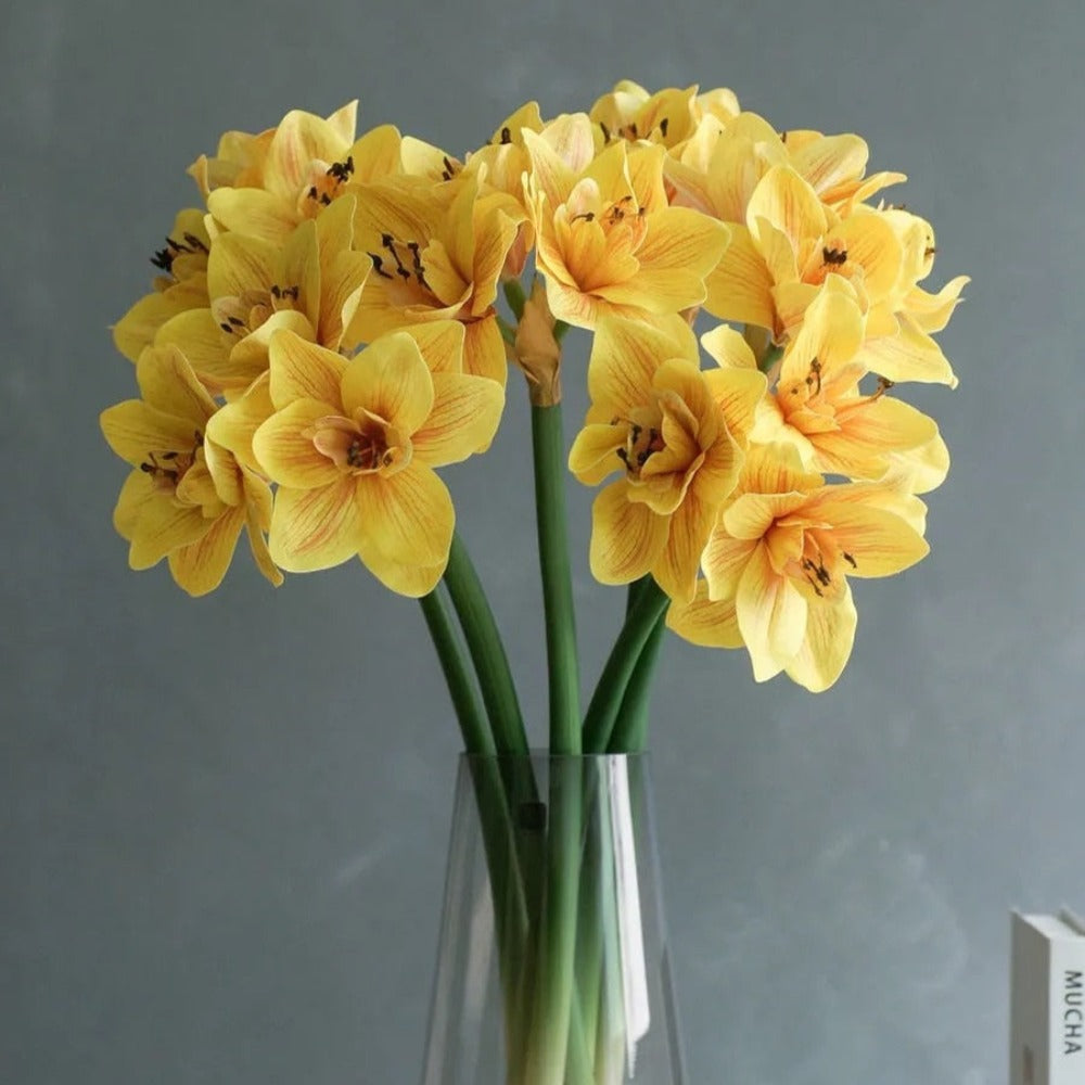 The Luxe Amaryllis Stem