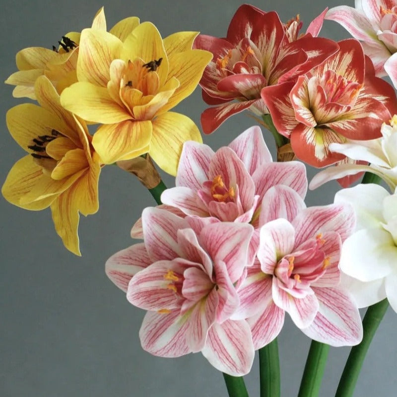 The Luxe Amaryllis Stem