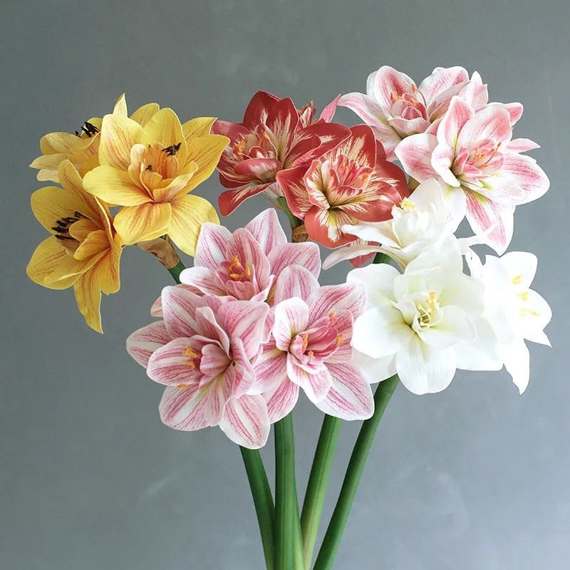 The Luxe Amaryllis Stem