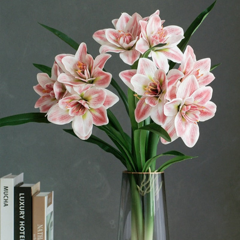 The Luxe Amaryllis Stem
