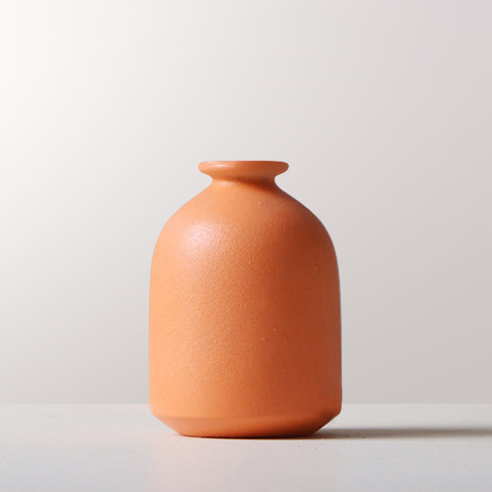 Modern Pure Color Vases with Flower