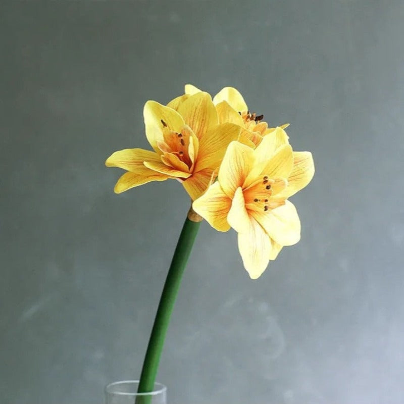 The Luxe Amaryllis Stem