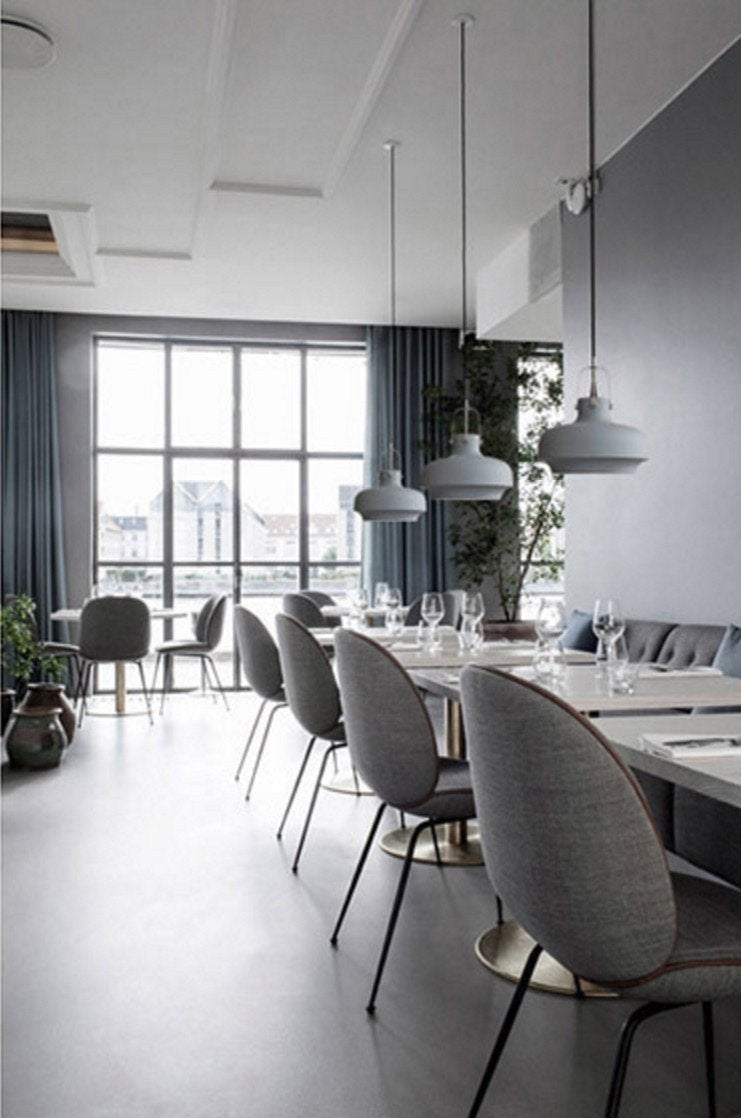 Rainier Contemporary Pendant Light