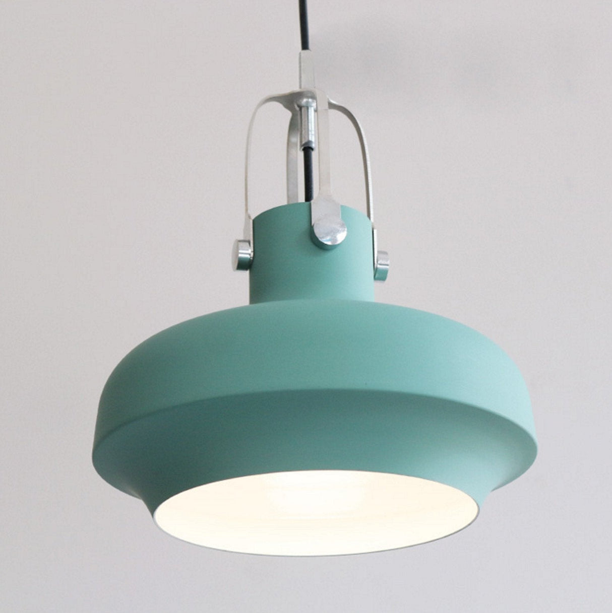 Rainier Contemporary Pendant Light