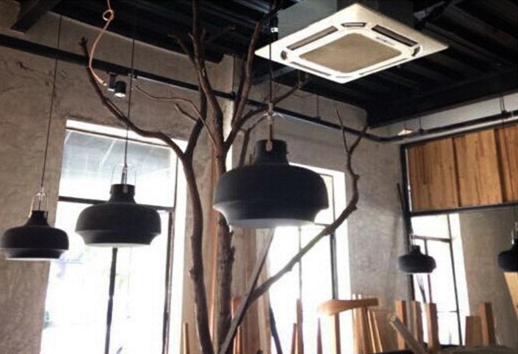 Rainier Contemporary Pendant Light