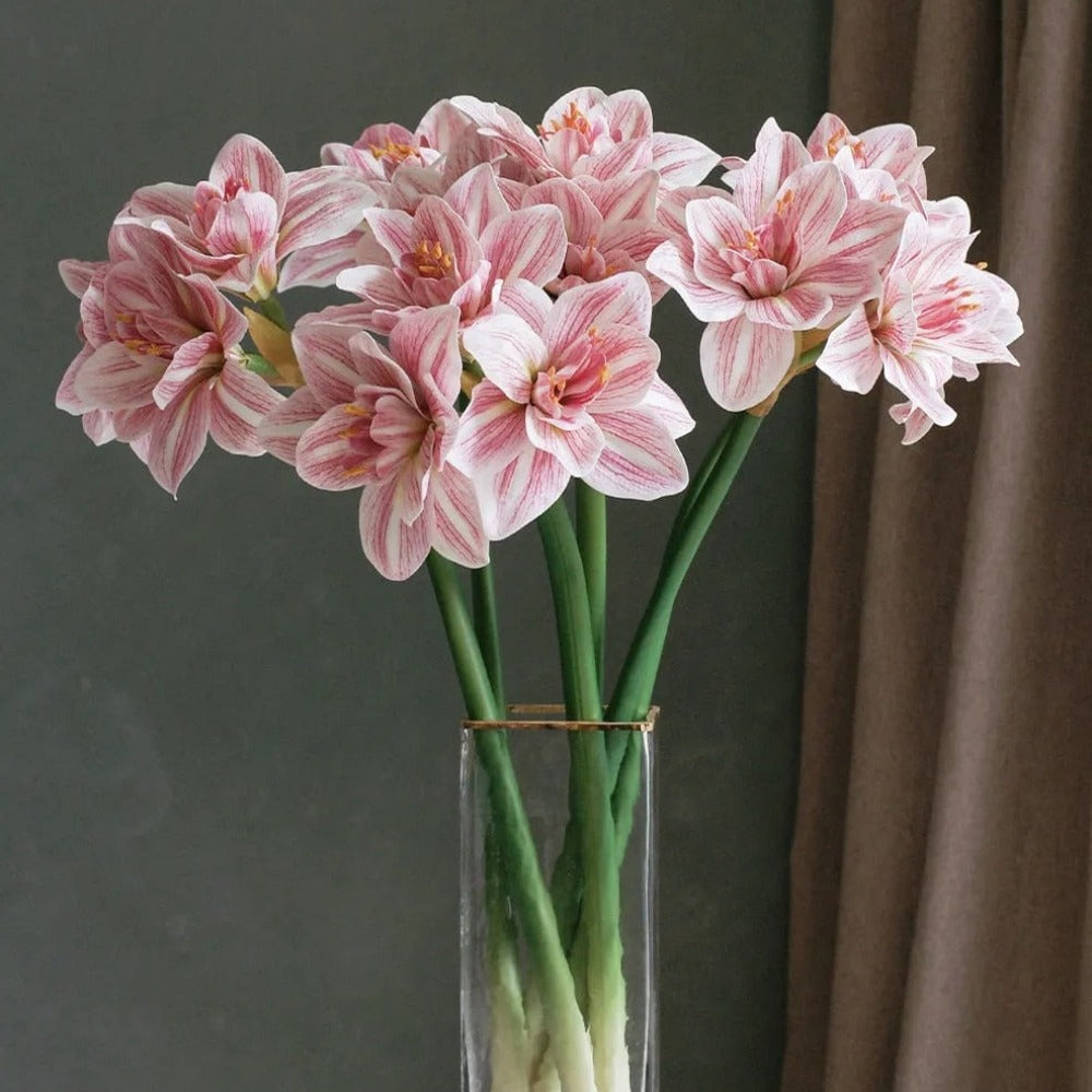 The Luxe Amaryllis Stem