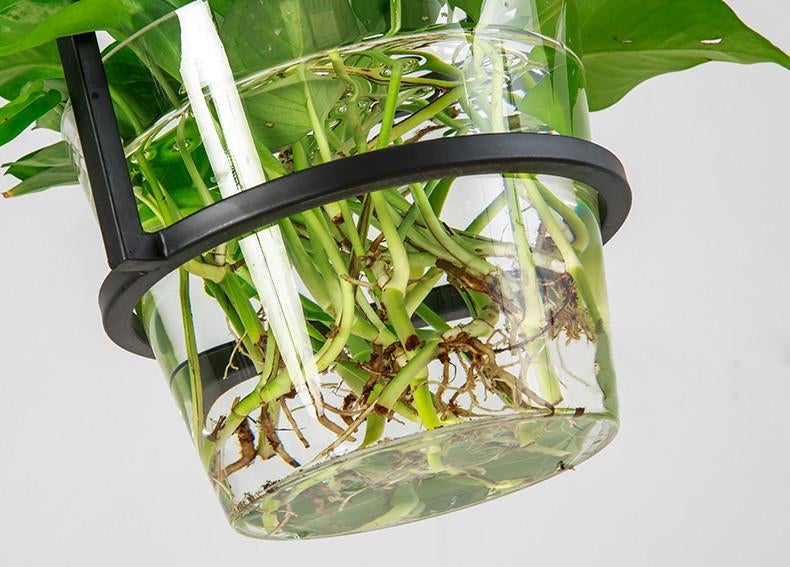 Hanging Plant Box Frame Pendant Light