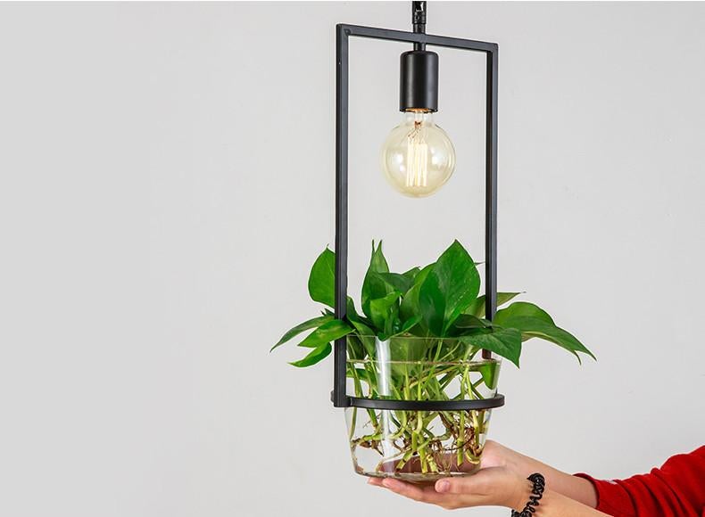 Hanging Plant Box Frame Pendant Light