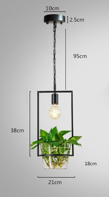 Hanging Plant Box Frame Pendant Light