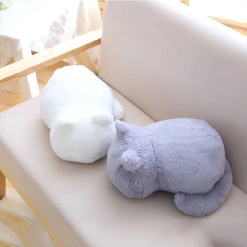 Tabby Cat Pillows