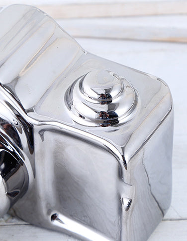 Take a Picture Statues