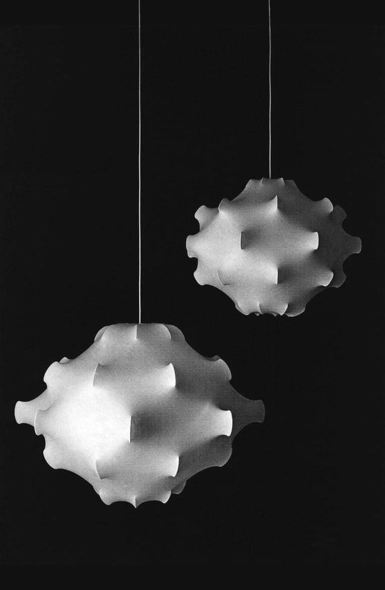 Taraxacum Suspension Lamp