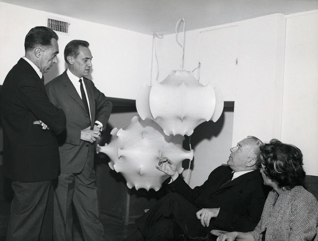 Taraxacum Suspension Lamp