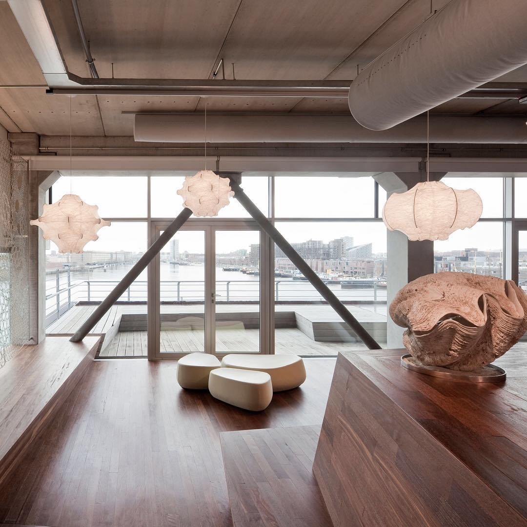 Taraxacum Suspension Lamp