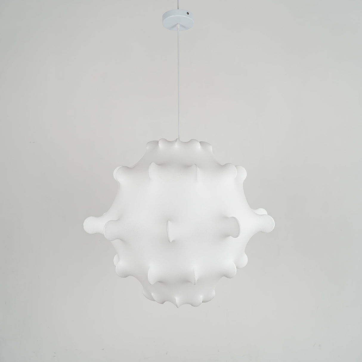 Taraxacum Suspension Lamp